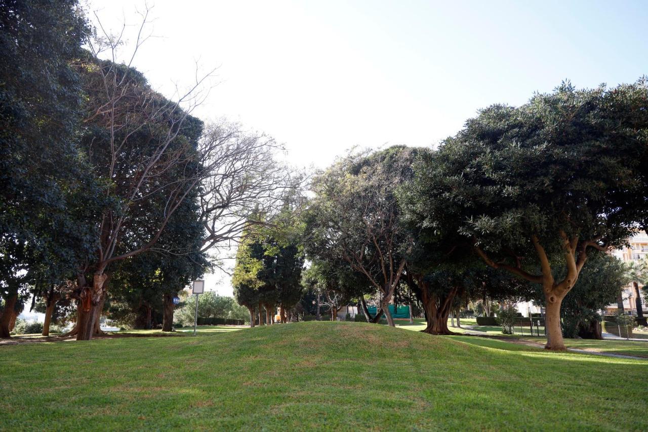 בנאלמדנה Apartamentos Dc מראה חיצוני תמונה