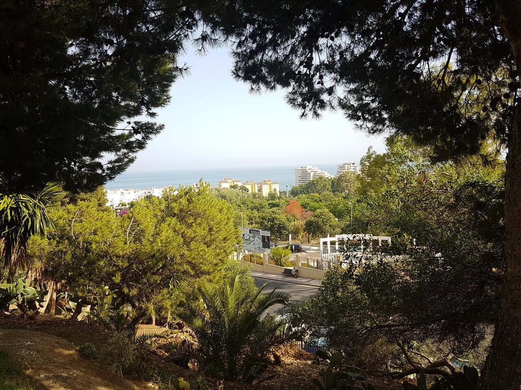 בנאלמדנה Apartamentos Dc מראה חיצוני תמונה